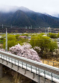 青島除塵設(shè)備,青島廢氣治理,青島廢氣處理,青島污水處理,青島污水處理設(shè)備